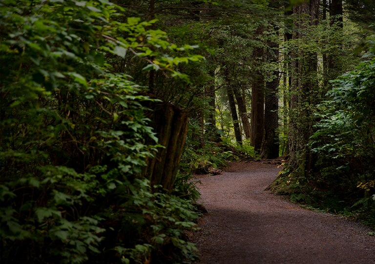 alaska checked bolsa