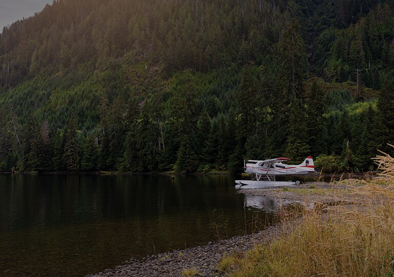 alaska checked bolsa