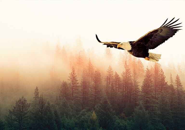 alaska checked bolsa